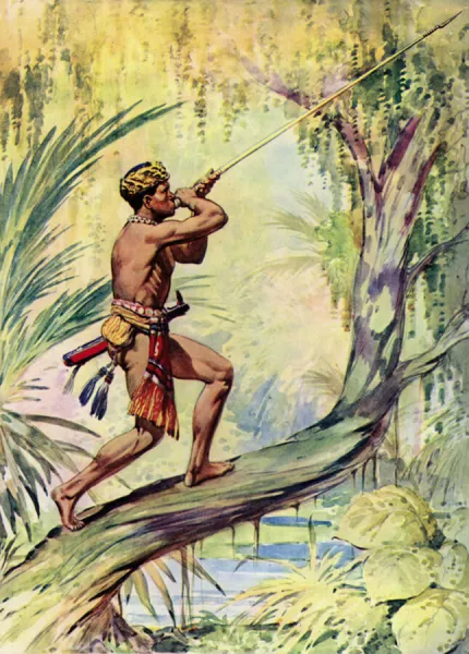 Dayak headhunter using a blowpipe to fire a poisoned arrow, Borneo (colour litho)