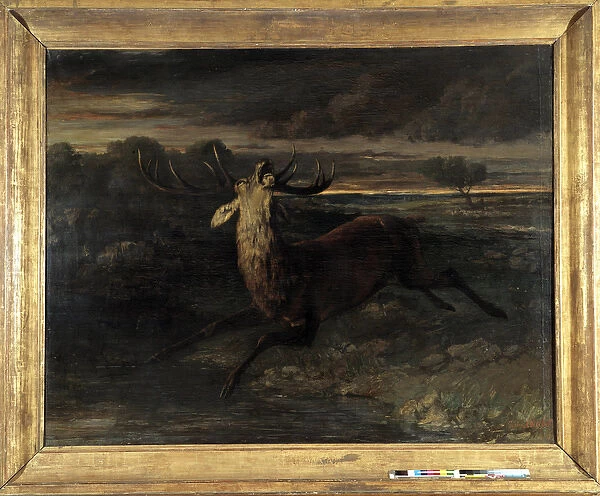 The deer has water (hunting a run) says the deer force (oil on canvas)