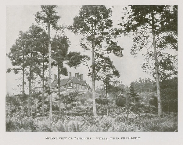 Distant view of The Hill, Witley, Surrey, when first built (b  /  w photo)