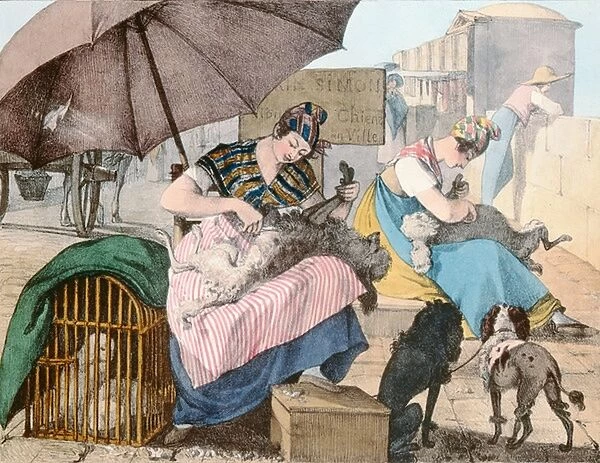 The Dog Groomers, 1820 (colour litho)
