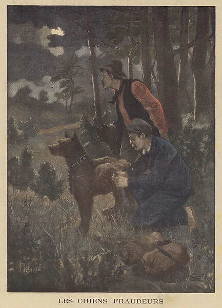 Dogs used by smugglers to carry contrabrand across the border (colour litho)
