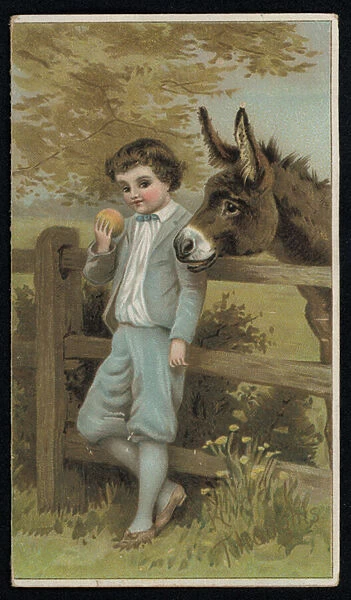 Donkey watching a boy with an apple, greetings card. (chromolitho)