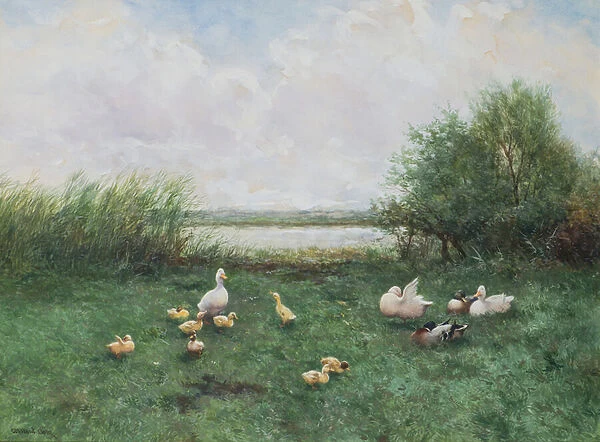 Ducks and Ducklings, 19th century (w  /  c)