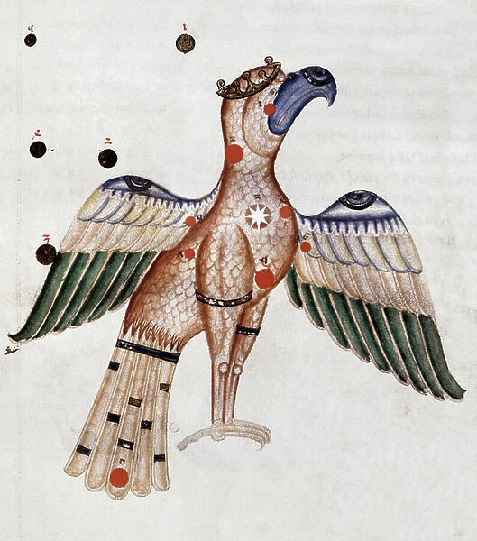 The Eagle constellation, 13th century (Miniature)