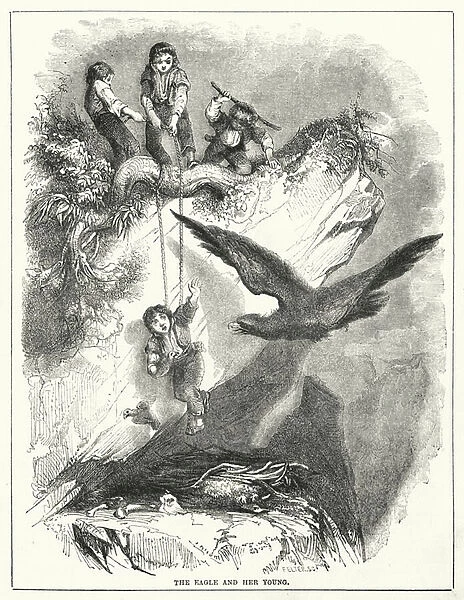 The Eagle and her Young (engraving)