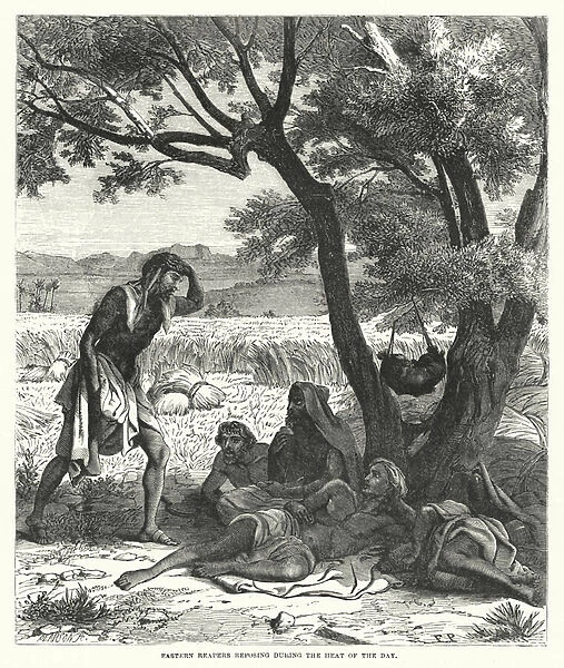 Eastern Reapers reposing during the Heat of the Day (engraving)
