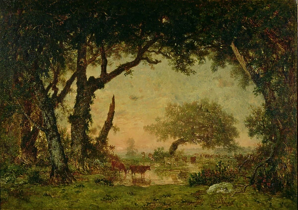 The Edge of the Forest at Fontainebleau, Setting Sun, 1850-51 (oil on canvas)