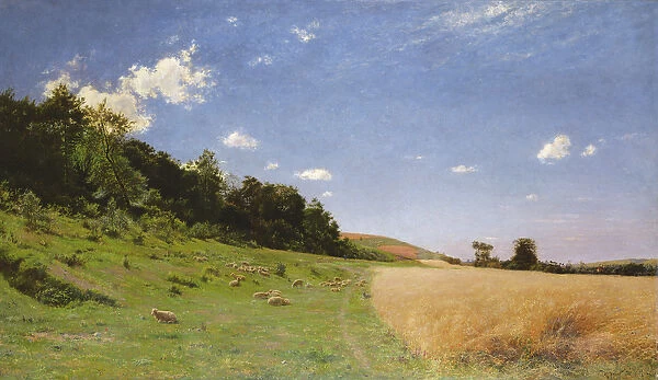 Edge of the Woods on the Outkirts of Eu, 1883 (oil on canvas)