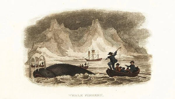 English whalers hunting whales in the Northern Seas near Greenland, 18th century