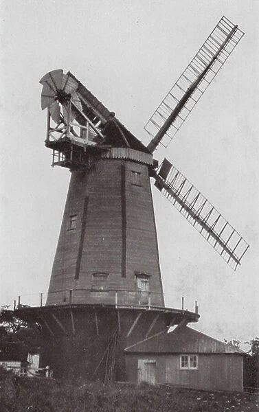 English Windmills: Shipley Mill (b / w photo)