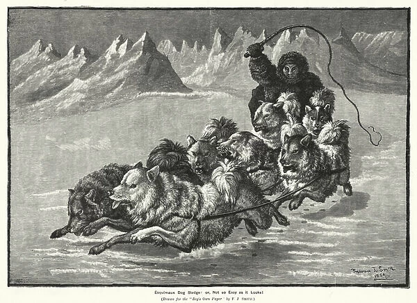 Esquimaux Dog Sledge, or, Not so Easy as it Looks! (engraving)