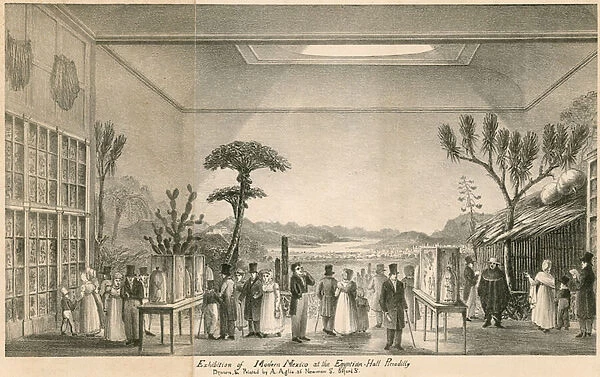 Exhibition of Modern Mexico at the Egyptian Hall, Piccadilly, London (engraving)