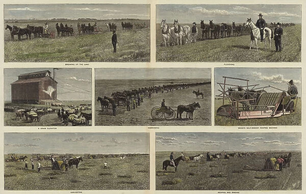 Farming on the plains of North America (coloured engraving)