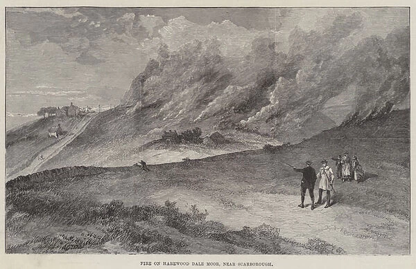 Fire on Harewood Dale Moor, near Scarborough (engraving)