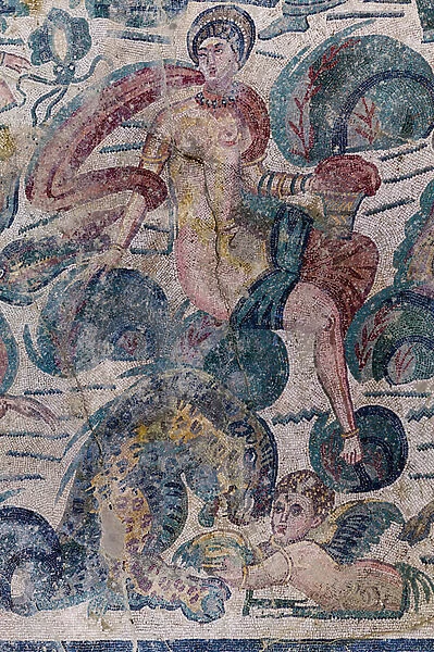 Floor mosaic (mosaic)