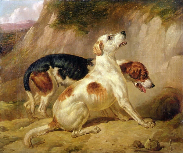 Fox Hounds, Fox Gone To Earth, 1844 (oil on canvas)