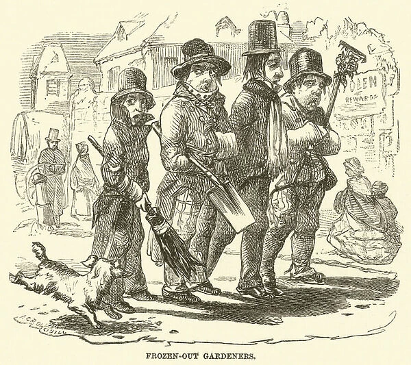 Frozen-out Gardeners (engraving)