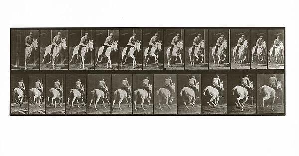 Galloping Horse with Rider, Plate 635 from Animal Locomotion, 1887 (b  /  w photo)