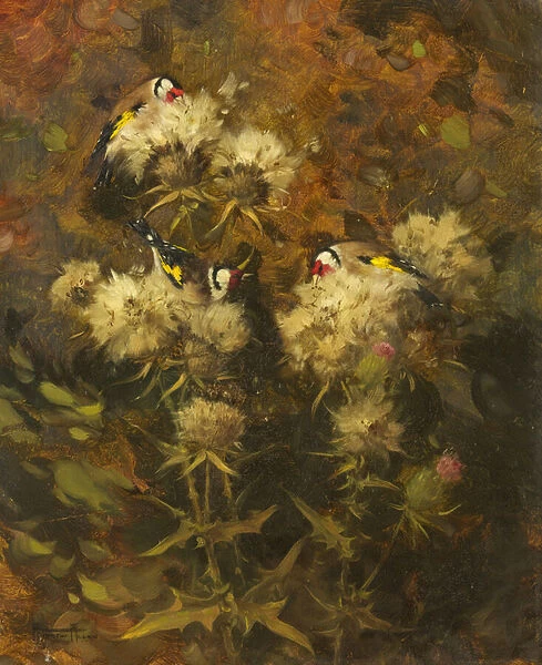 Goldfinches Feeding (oil on canvas)