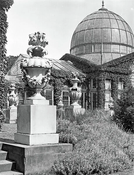 The Great Conservatory, Syon House, from The English Country House (b / w photo)