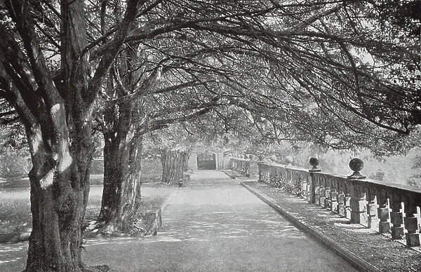 Haddon Hall: The Terrace, or 'Dorothy Vernon's Walk' (b / w photo)