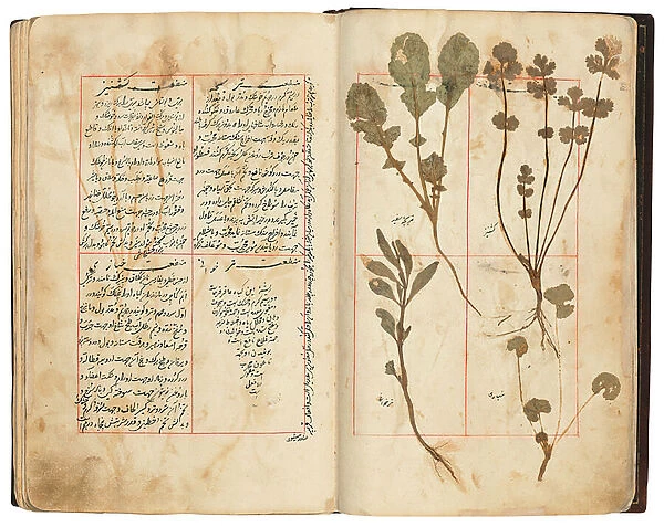 Hassan Bin Baqir Bin Jarrah: Gulzar Al-Rayahin, Qajar Iran (ink & pigment on paper)