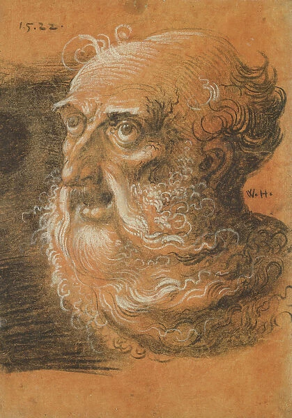 Head Study, 1522 (charcoal and white chalk on paper)