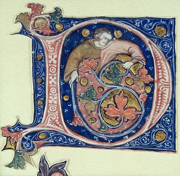 Historiated initial D depicting a man holding a vine (vellum)