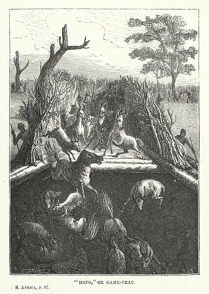 'Hopo, 'or game-trap (engraving)