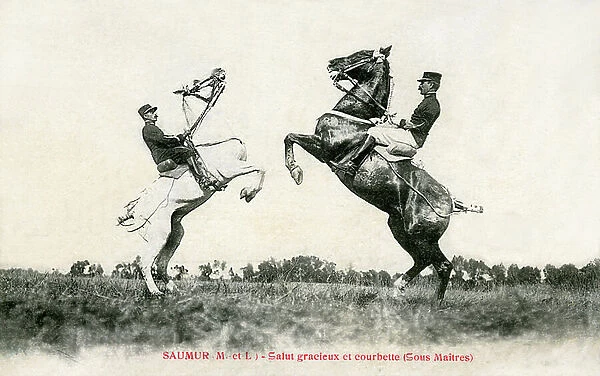 Horsemen of the Cavalry School of Saumur (Maine and Loire): equestrian figure - graceful salute and courvette (sub masters) - horse, dressage, rider - photo FR. Voecker, postcard sent in 1909