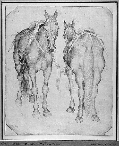 Two horses, from the The Vallardi Album (pen & ink on paper) (b  /  w photo)
