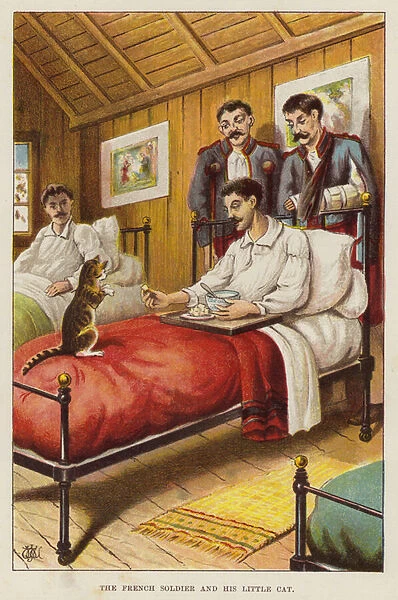 Hospitalised French soldier and his little cat (chromolitho)