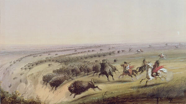 Hunting Buffalo, 1837 (w  /  c on paper)
