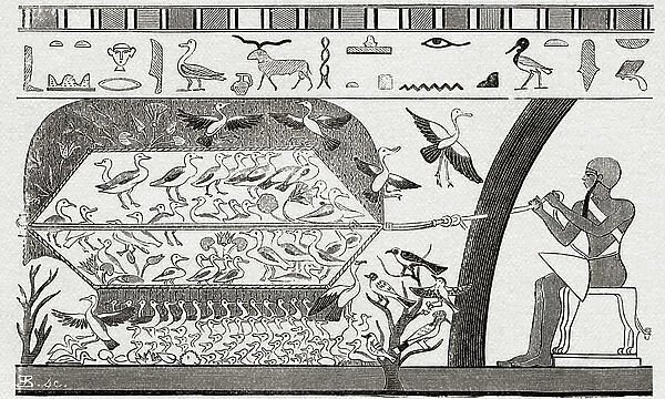 Hunting wild geese in ancient Egypt, 1882