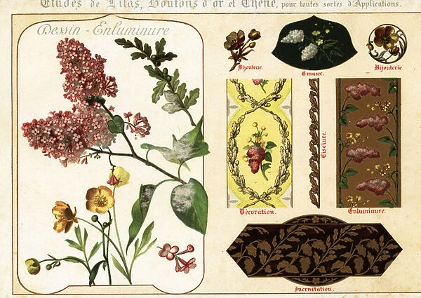 Images of lilac, buttercup and oak from manuscripts and their ap, 1890 (Chromolithograph)