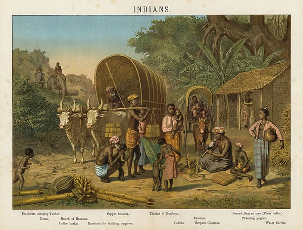 Indians (chromolitho)