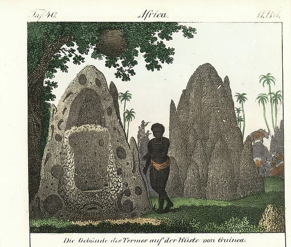 Indigene standing by giant termitieres on the coast of Guinee (Guinee Conakry). Lithography for the book: '' Galerie complete en tableaux fideles des peuples d'Afrique' by Friedrich Wilhelm Goedsche (1785-1863), edition Meissen (Germany), 1835-1840