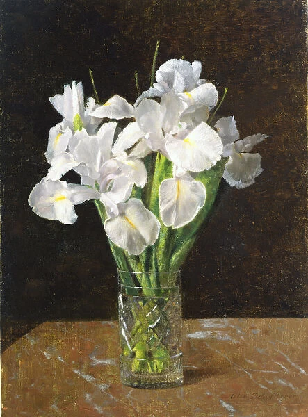 Irises, 1894 (oil on canvas)