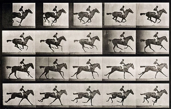 Jockey on a galloping horse, plate 627 from Animal Locomotion, 1887 (b  /  w photo)