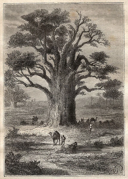 Journey (1798) by Frederic Conrad (Konrad) Hornemann (1772-1801) to Fezzan (Libya)