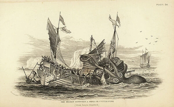 Kraken or giant cuttlefish attacking a fishing boat off the coast of Angola. After a description by Pierre Denys de Montfort in his Natural History of the Mollusca. Probably a giant squid, Architeuthis species. Steel engraving by W.H