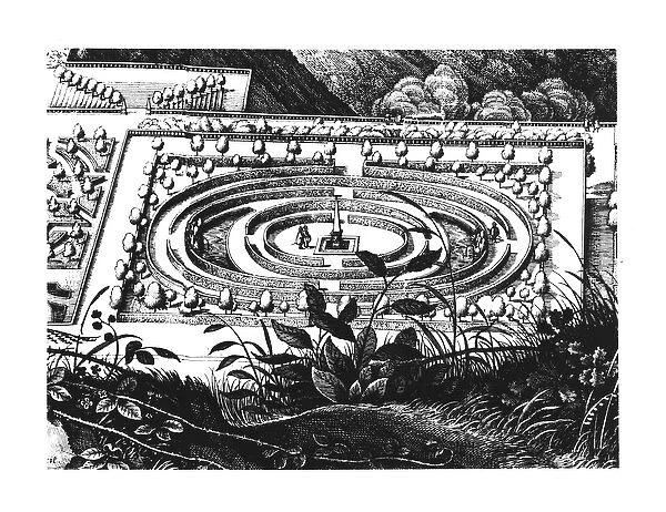 Labyrinth at Heidelberg, Hortus Palatinus (engraving) (b  /  w photo)