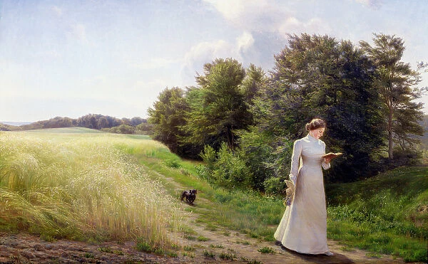 Lady in White Reading