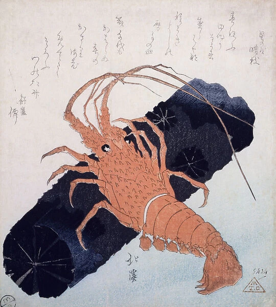 Langoustine with a Block of Charcoal, c. 1830 (colour woodblock print)