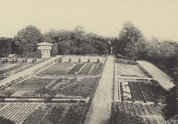Le Jardin Potager (b / w photo)