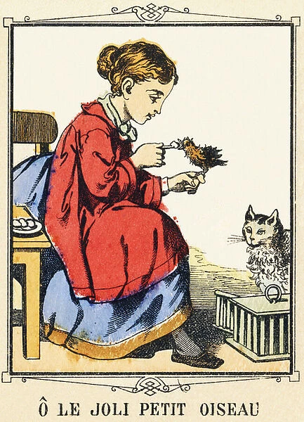 Le joli petit oiseau : fillette donnant a manger a un oiseau sous le regard d un chat