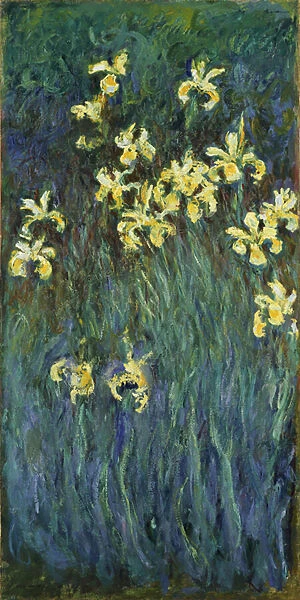 Les iris jaunes - Peinture de Claude Monet (1840-1926), huile sur toile, 1914-1917, 200x101 cm - (Yellow Irises, Oil on canvas by Claude Monet) - National Museum of Western Art, Tokyo