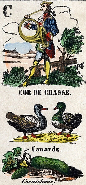 Letter C as hunting horn, ducks and pickles. Small encyclopedic alphabet