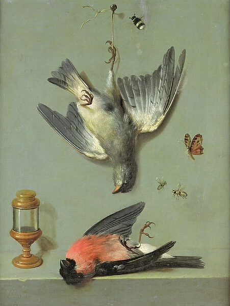 Still Life With Birds and Insects, 1713 (oil on canvas)