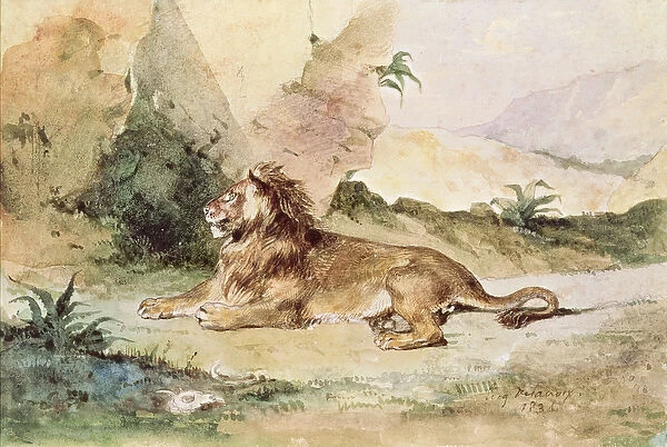 A Lion in the Desert, 1834 (w  /  c on paper)